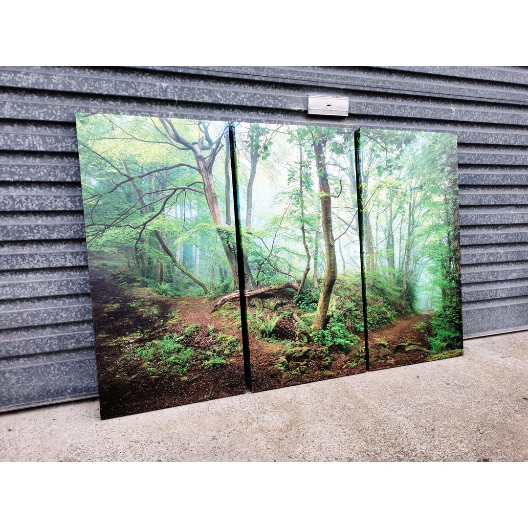 Framed 3 Panels - Finished Products -Forest - Canvas Print Wall Art