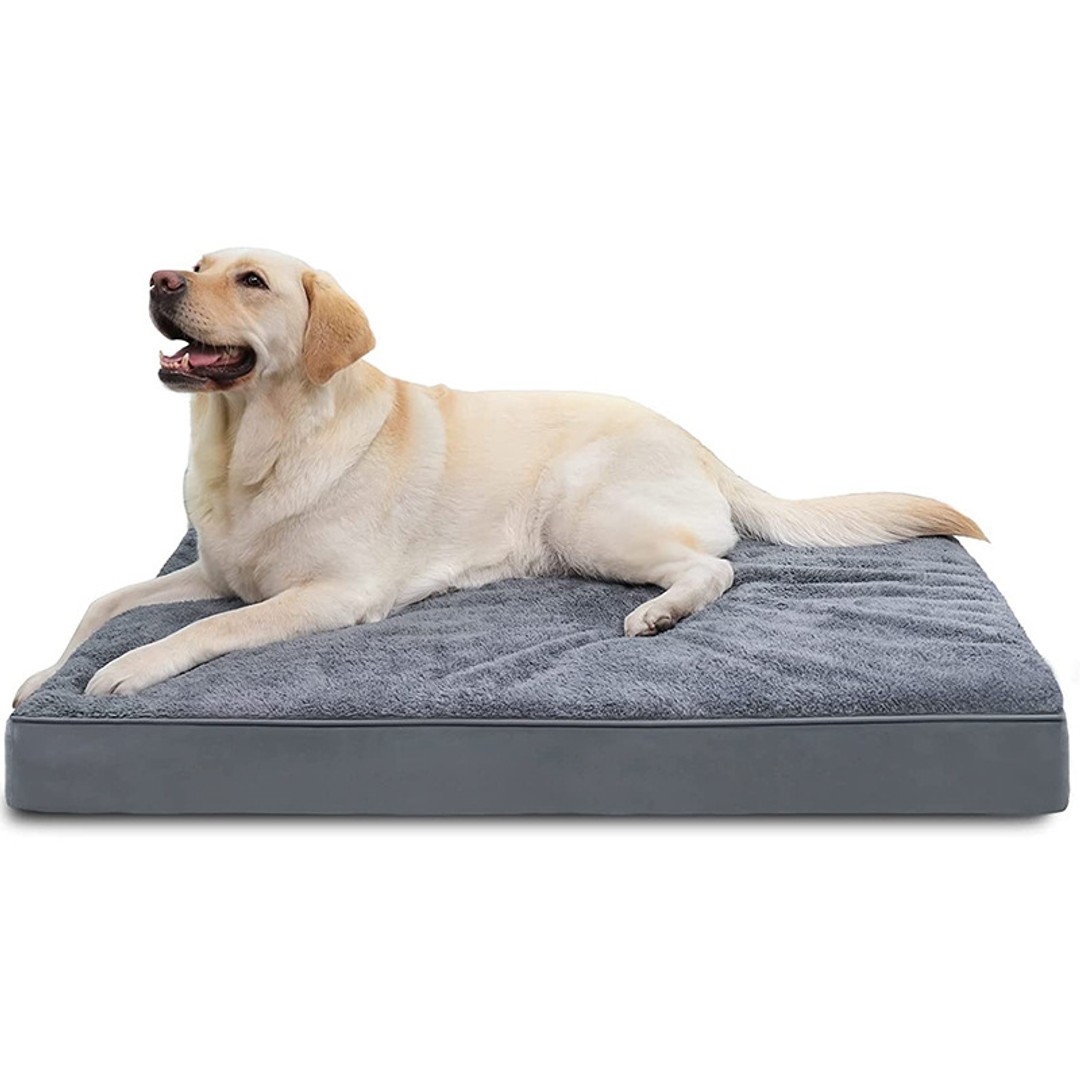 Egg-Crate Foam Dog Bed with Removable Washable Cover-XL | The Warehouse