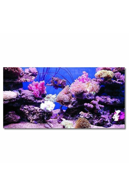 Coral HD Aquarium Background Poster Fish Tank Decorations Landscape Self |  Flickdeal Online | TheMarket New Zealand