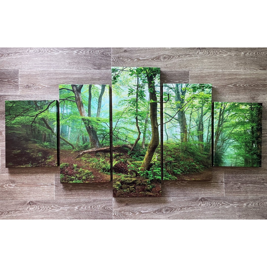 Framed 5 Panels - Finished Products - Forest - Canvas Print Wall Art