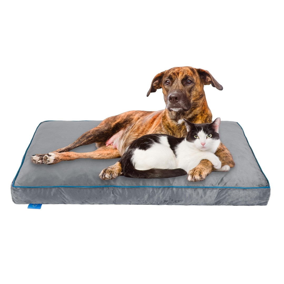 Fetch Orthopedic Memory Foam Dog Bed 12cm Thick X-Large