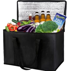 Grocery Delivery Bag Cooler