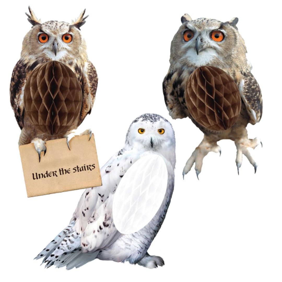 Harry Potter coneycomb owl decations x 3