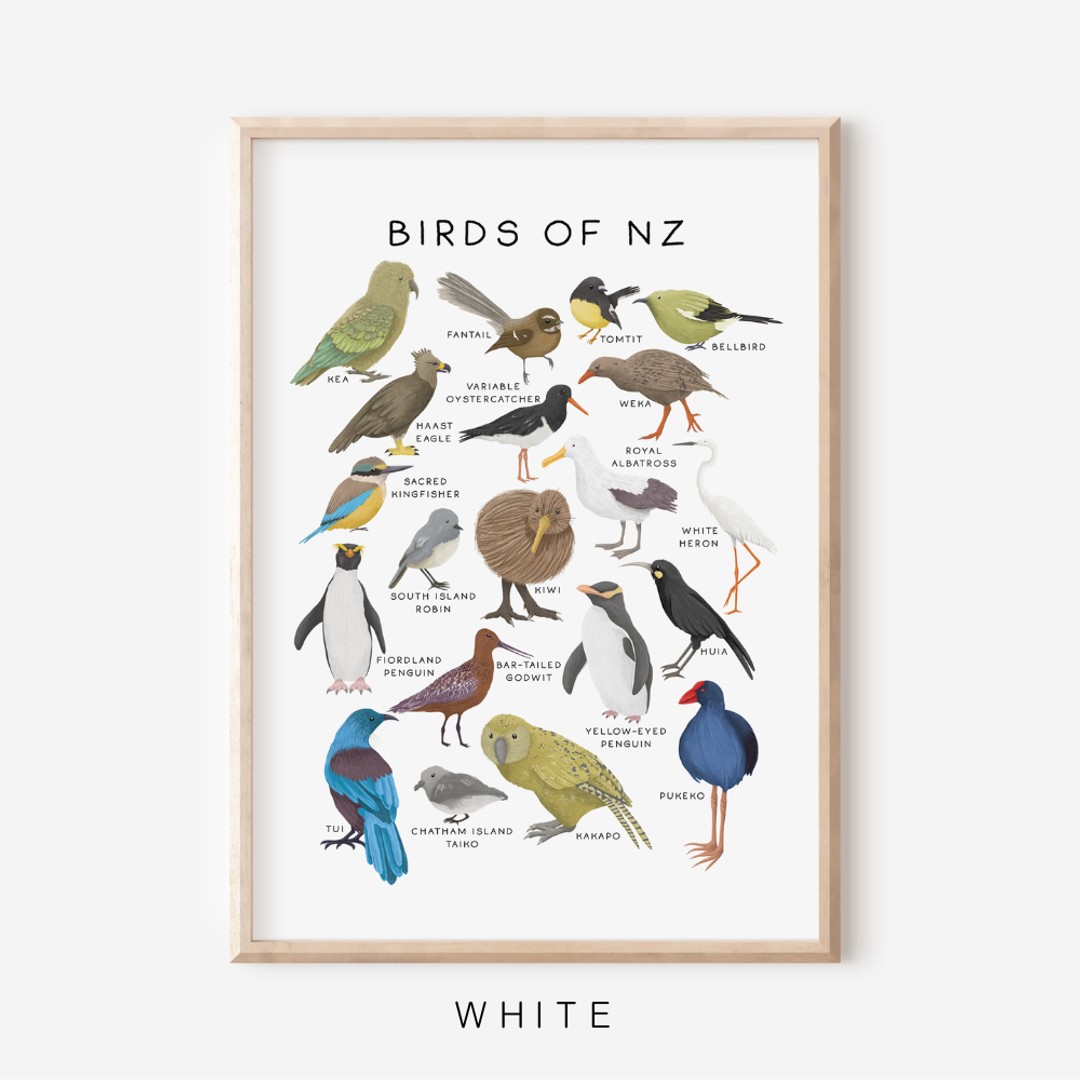 Lapin + Wolf | Birds of NZ | Art Print | UNFRAMED