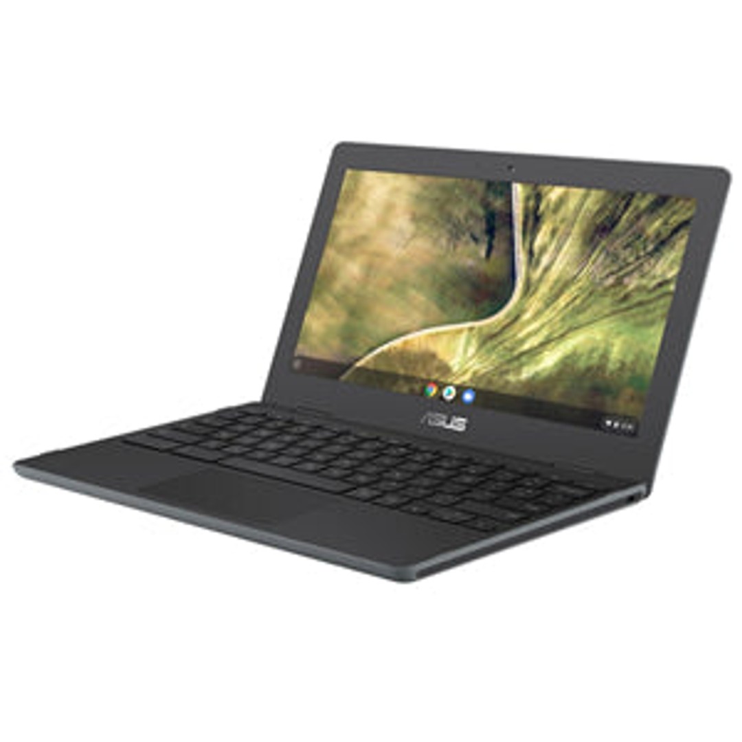 ASUS Chromebook 11.6" C204MA-GJ0261-ZTE Notebook