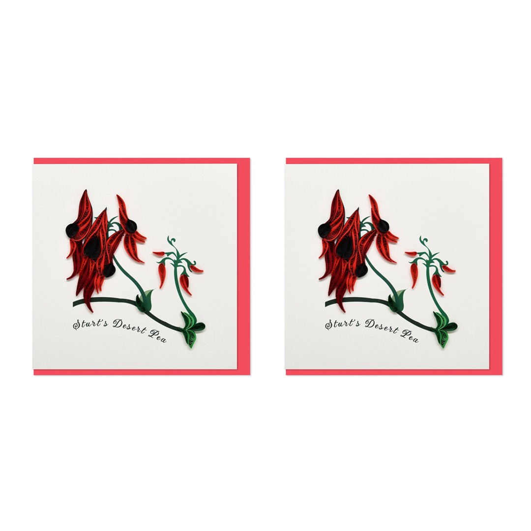 2x Boyle Handmade Paper 15x15cm Greeting Card/Envelope Sturts Desert Pea Flower