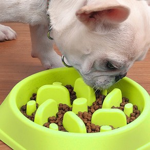Dog Feeder Slow Eating Pet Bowl-Green
