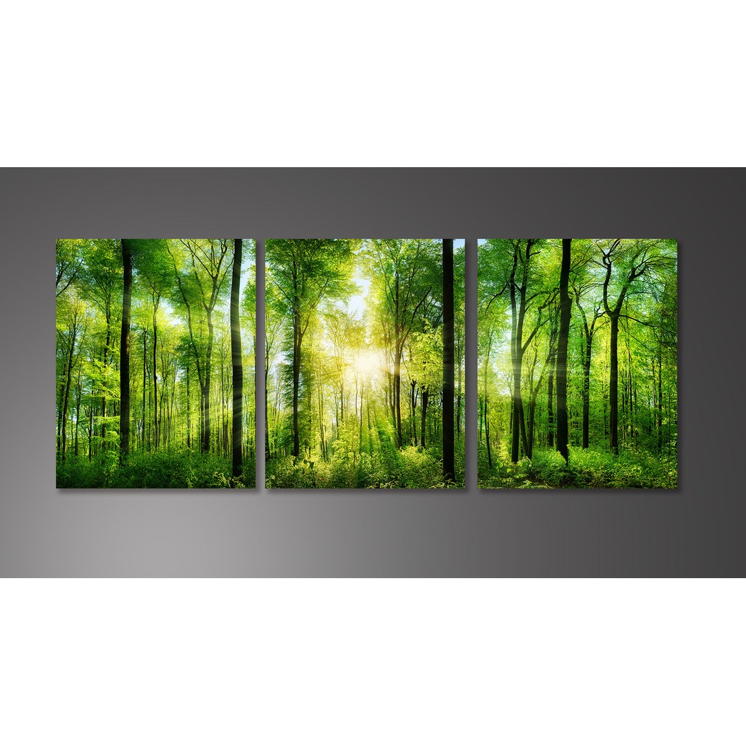 Framed 3 Panels - Forest panorama with rays of sunlight - Canvas Print Wall Art