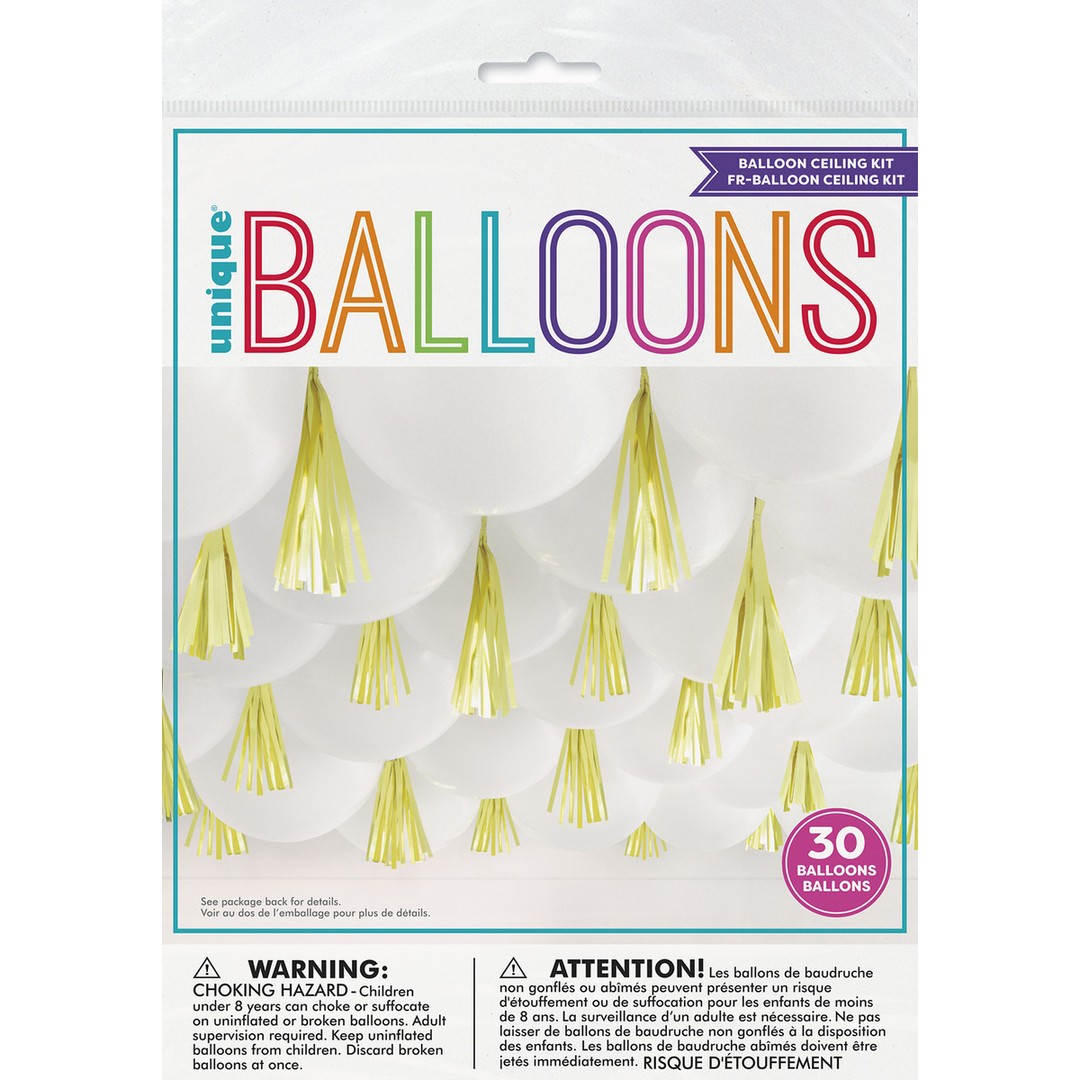 Balloon ceiling kit