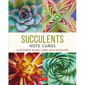Succulents - 16 Note Cards: 16 Different Blank Cards with 17 Patterned Envelopes