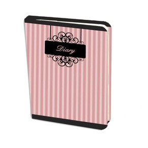 Non Dated Diary Candy Stripe