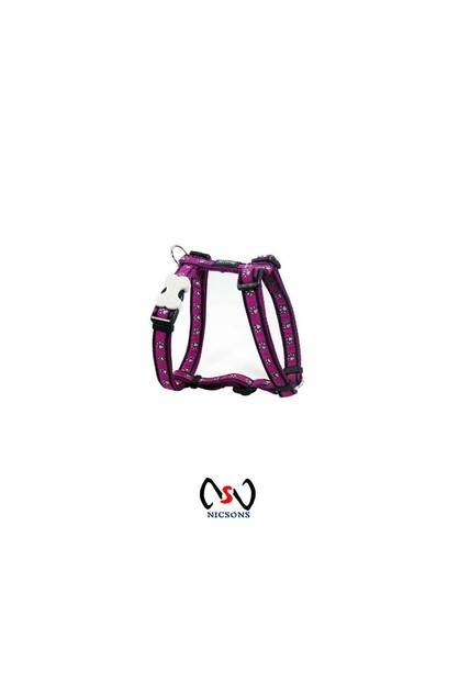 Behoort Aanvankelijk Doe een poging Shop Red Dingo Dog Harness Pawprint Purple Xtra Large | RedDingo Online |  1-day.co.nz