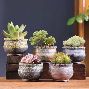 5 Pcs Abstract Ceramic Succulent Cactus Planter Low Pots