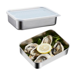Stainless Steel Food Storage Container Lunch Box with Clear Lid Medium Size