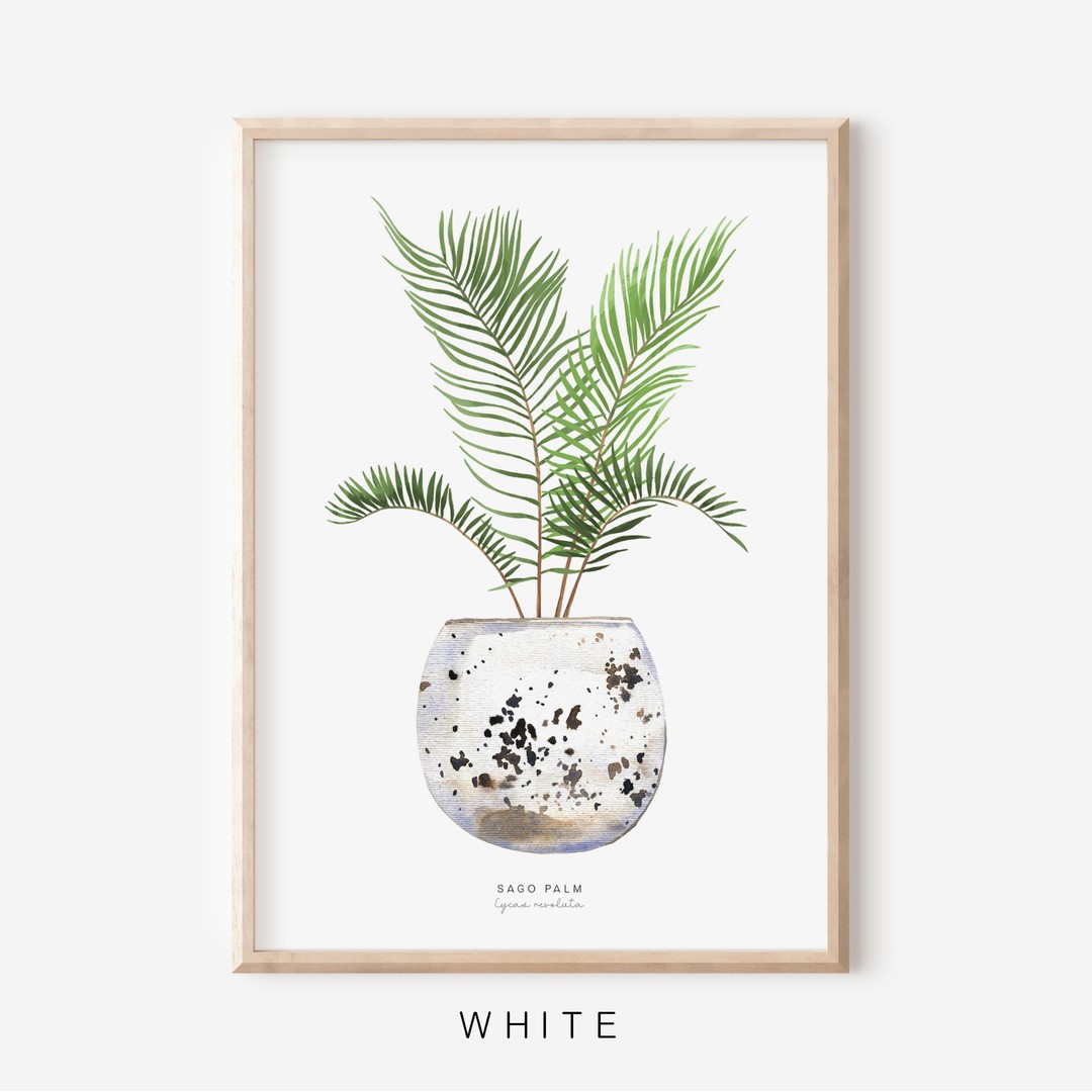 Lapin + Wolf Houseplants - Sago Palm | Art Print