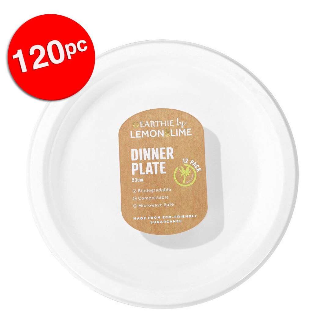 120pc Lemon & Lime Eco/Biodegradable/Compostable Disposable 23cm Dinner Plate WH