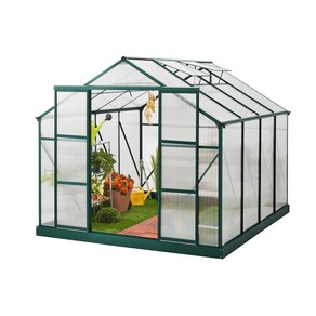 THE ULTIMATE 10FT X 10FT GREENHOUSE 6mm Twin Wall