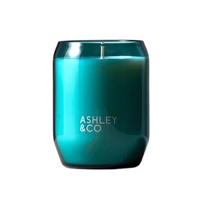 Ashley & Co Waxed Perfume Scented Candle Outdoor Edition - Tui & Kahili