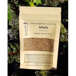 Goodlife - Sprouting Seeds - Alfalfa 100grm