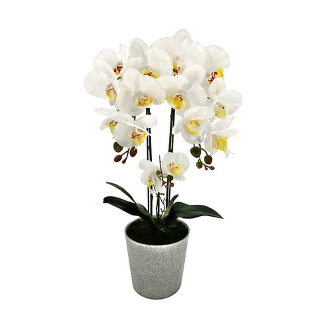 58cm Medium Artificial Potted Orchid - Ceramic Vase (2 PCS)