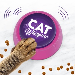 Bubblegum Stuff - Cat Whisperer
