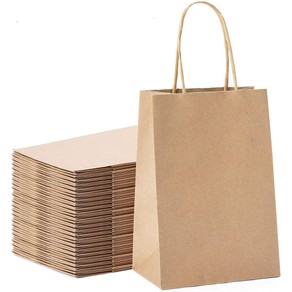 10Pcs Kraft Paper Party Favor Gift Bags With Handle For Shopping