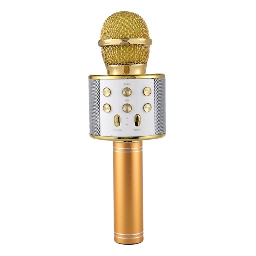 Vibe Geeks Portable Wireless Karaoke Microphone- Usb Charging