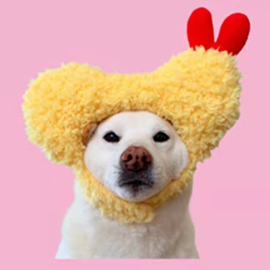 KASHIMA Tempura Cat, Dog Headband